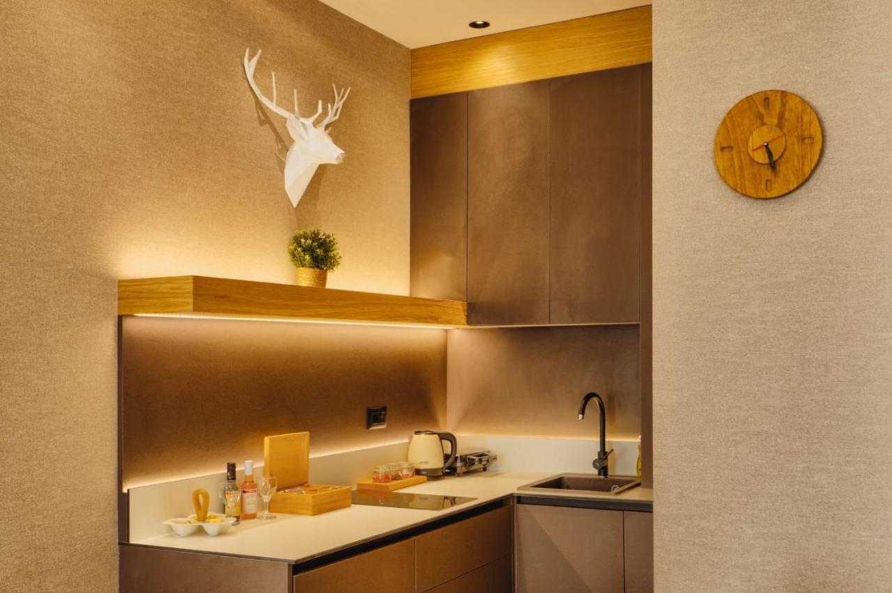Wild Beauty Apartment-Modern Mountain 2 Kolaşin Dış mekan fotoğraf